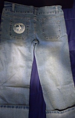 Girls Jeans size 12 junior/teen $10.00